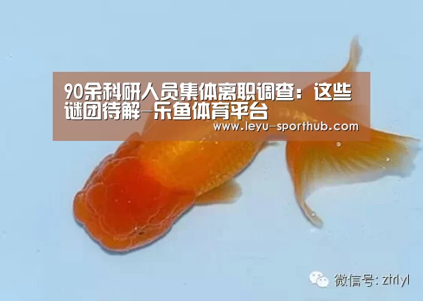 90余科研人员集体离职调查:这些谜团待解-乐鱼体育平台(图2) 乐鱼电竞官网