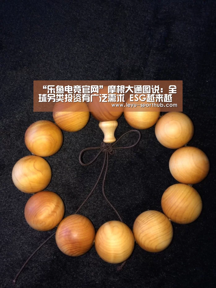 “乐鱼电竞官网”摩根大通图说:全球另类投资有广泛需求 ESG越来越受到重视(图1) 乐鱼电竞官网